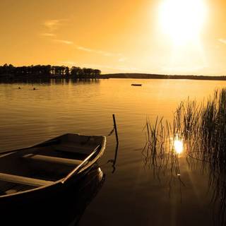 River at sunrise wallpaper