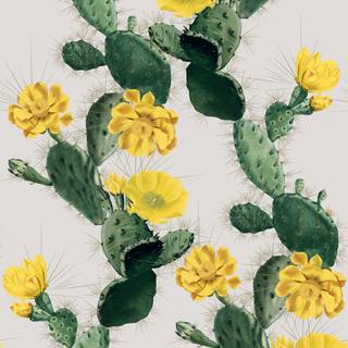 Cactus summer wallpaper