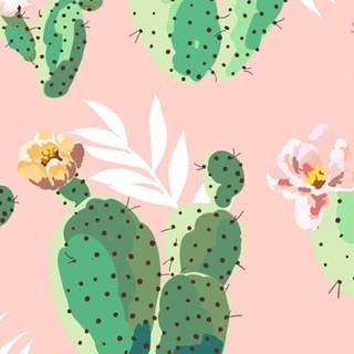 Cactus summer wallpaper
