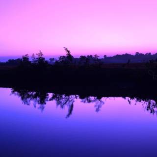 4k PC purple wallpaper