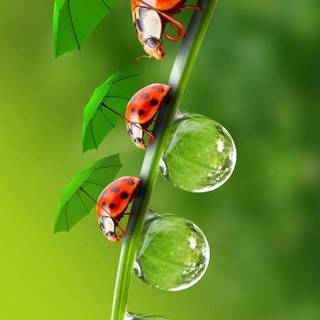 Android 4k Ultra HD wallpaper