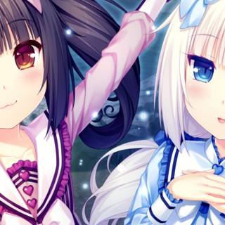 Nekopara Vanilla wallpaper