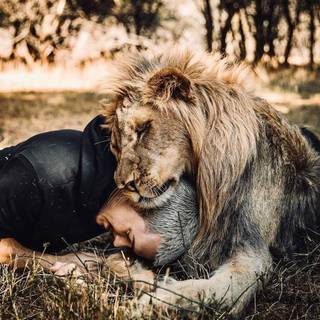 Dean Schneider wallpaper