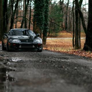 Car in forest wallpaper