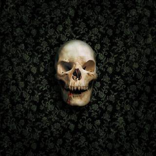 Wallpaper skull