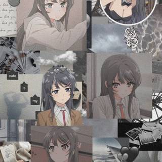 Mai Senpai wallpaper