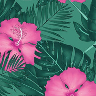 Hibiscus plant wallpaper