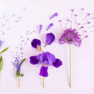 Design summer wallpaper