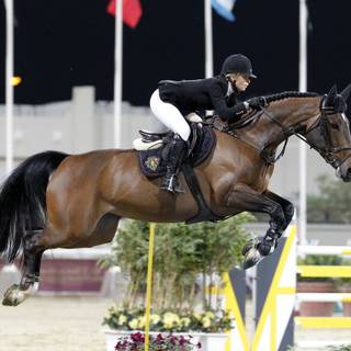 Horse show wallpaper