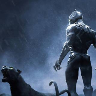 Black Panther 4k PC wallpaper