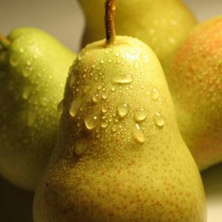 Pear fruit wallpaper