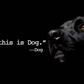 Photography quotes wallpaper