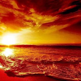 Orange beach wallpaper