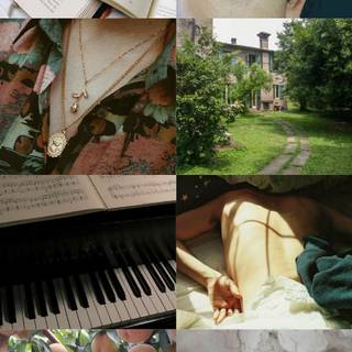 Elio Perlman wallpaper