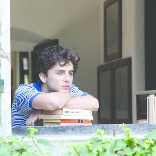 Elio Perlman wallpaper