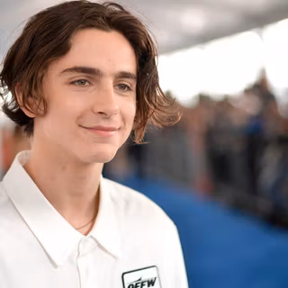 Elio Perlman wallpaper