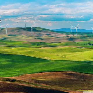 Rolling hills wallpaper