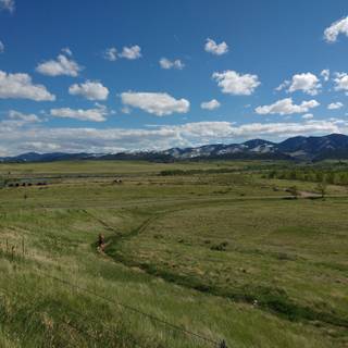 Rolling hills wallpaper