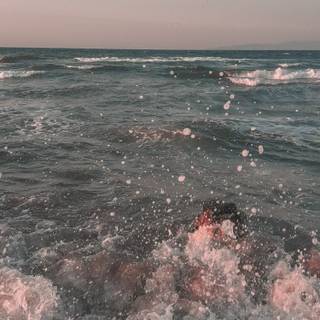 Summer bundle wallpaper