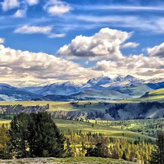 Yellowstone trucks wallpaper