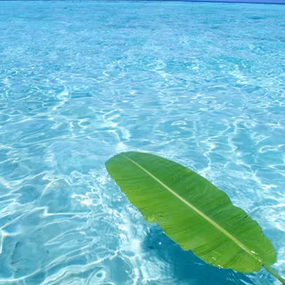 Ocean summer wallpaper