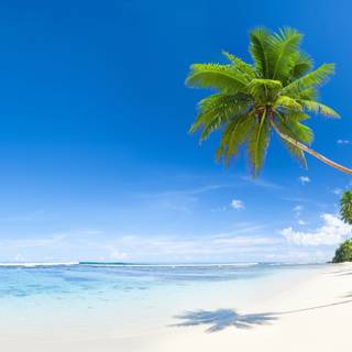 Ocean summer wallpaper