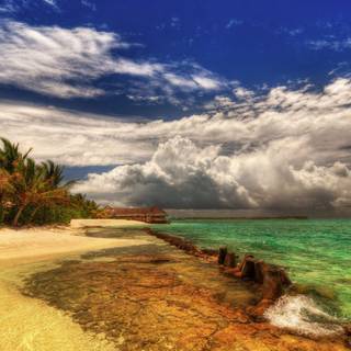 Ocean summer wallpaper