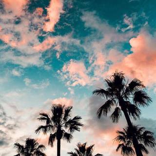 Summer California wallpaper