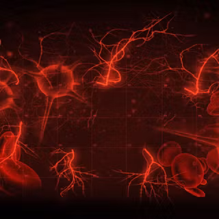 Black and red profile wallpaper