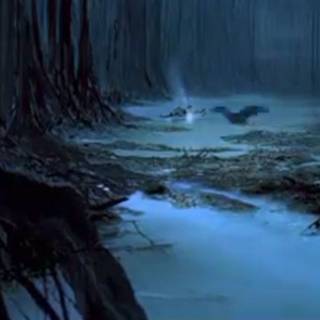 Dagobah wallpaper