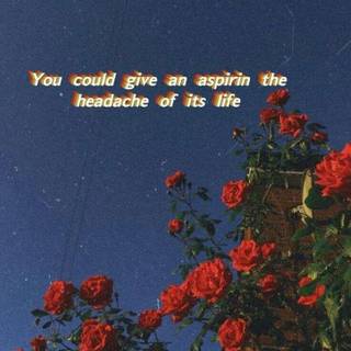 Baddie vibes wallpaper