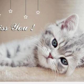 You Will Be Missed wallpaper