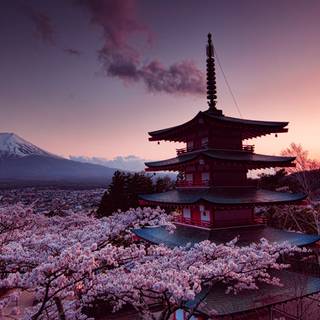 Japan spring desktop wallpaper