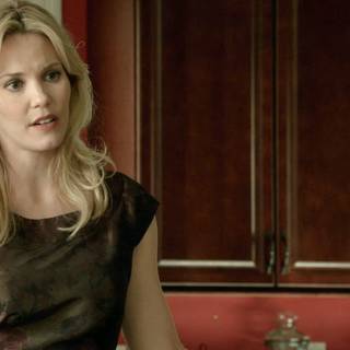 Leslie Bibb wallpaper