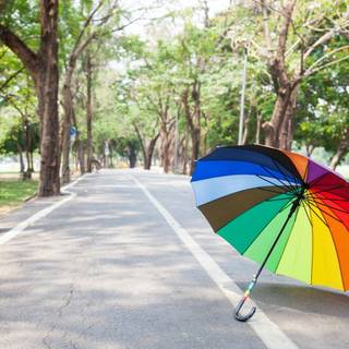 Summer colorful tree wallpaper