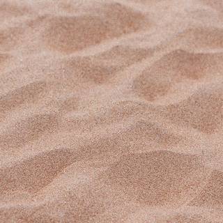 Beige summer wallpaper