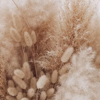 Beige summer wallpaper