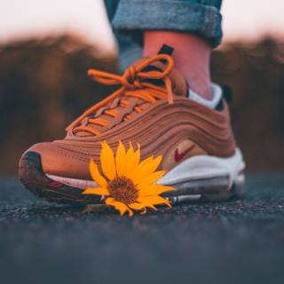 Old time shoes wallpaper