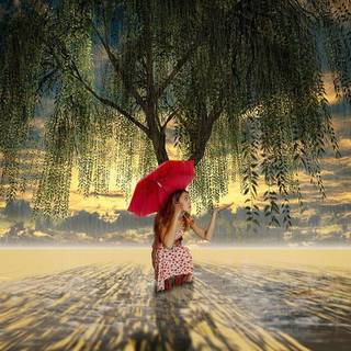 Rainy summer day wallpaper