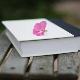 Spring and book wallpaper