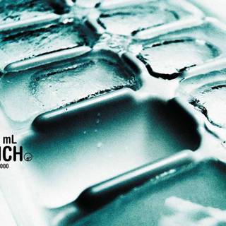 Finch band wallpaper