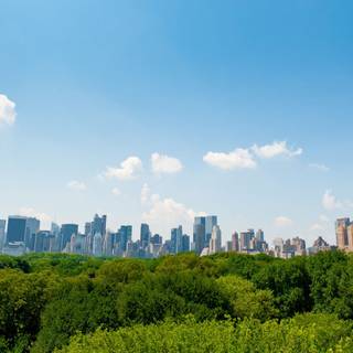 NYC summer wallpaper