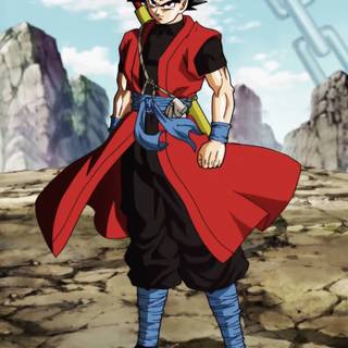 Goku and Zeno wallpaper