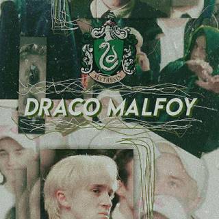 The Malfoys wallpaper