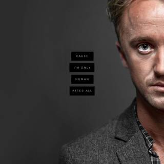 The Malfoys wallpaper