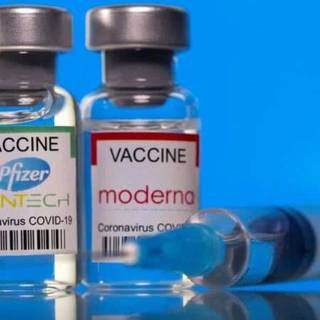 Moderna COVID-19 Vaccine wallpaper