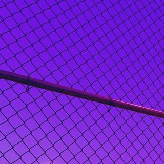 Purple grid wallpaper