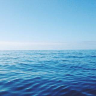 Stress free wallpaper