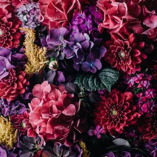 Vintage iPhone 4K wallpaper