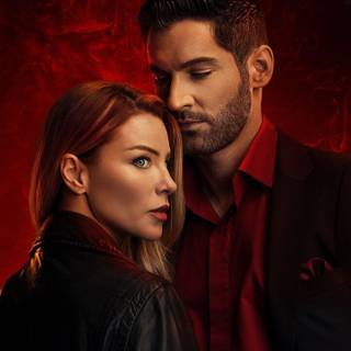 Jiu Jitsu animals 4k wallpaper